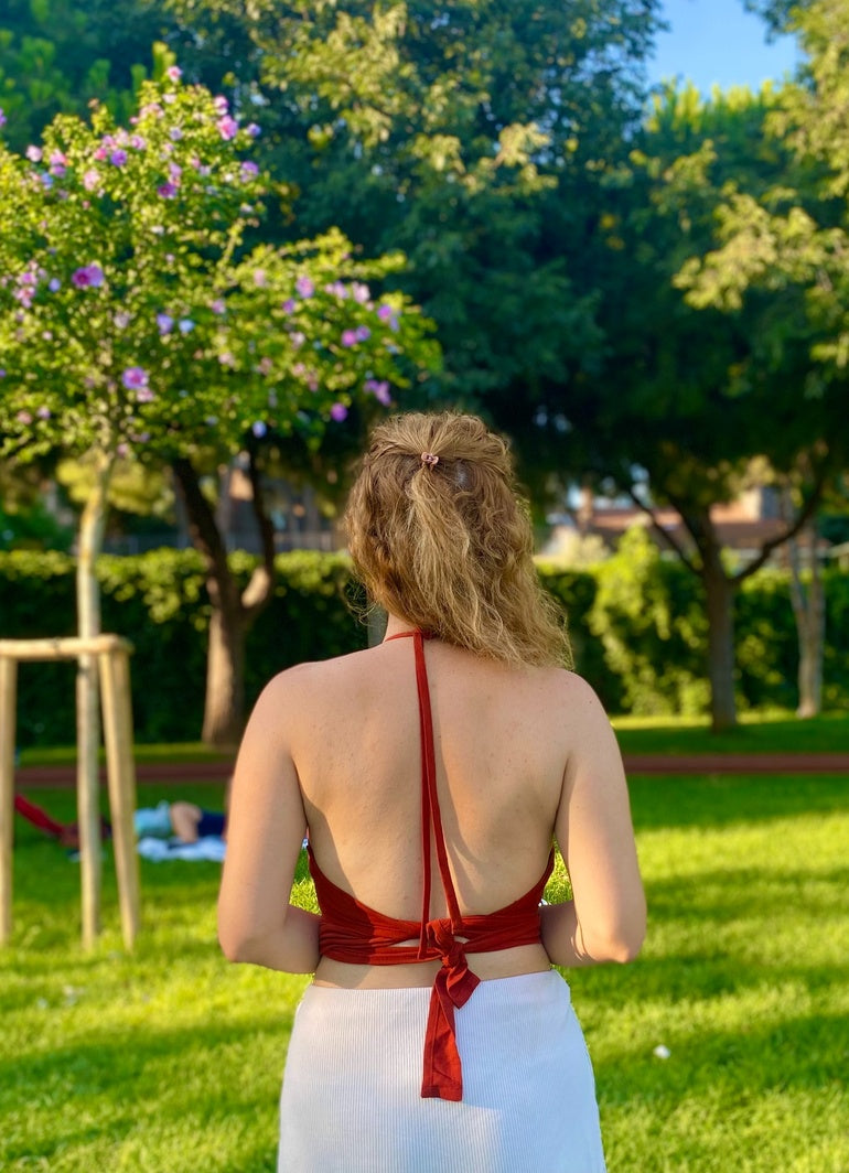 Halter Neck Open Back Terracotta Crop Blouse