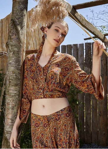 Shirred Back  Long Sleeve Patterned Bohemian Crop Top